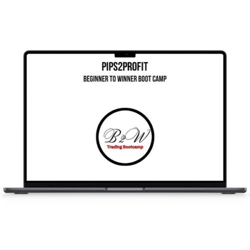 Pips2Profit – Beginner To Winner Boot Camp