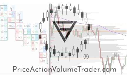 Price Action Volume Trader Day Trading With Volume Profile and Orderflow Giga Courses 1