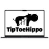 TipToeHippo – StrategyQuant Mentorship 1