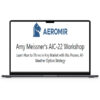 Aeromir – Amy Meissners AIC 22 Workshop