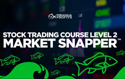 Piranha Profits Stock Trading Course Level 2 Market Snapper Giga Courses 10 04 2024 05 00 PM 1